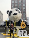 熊貓